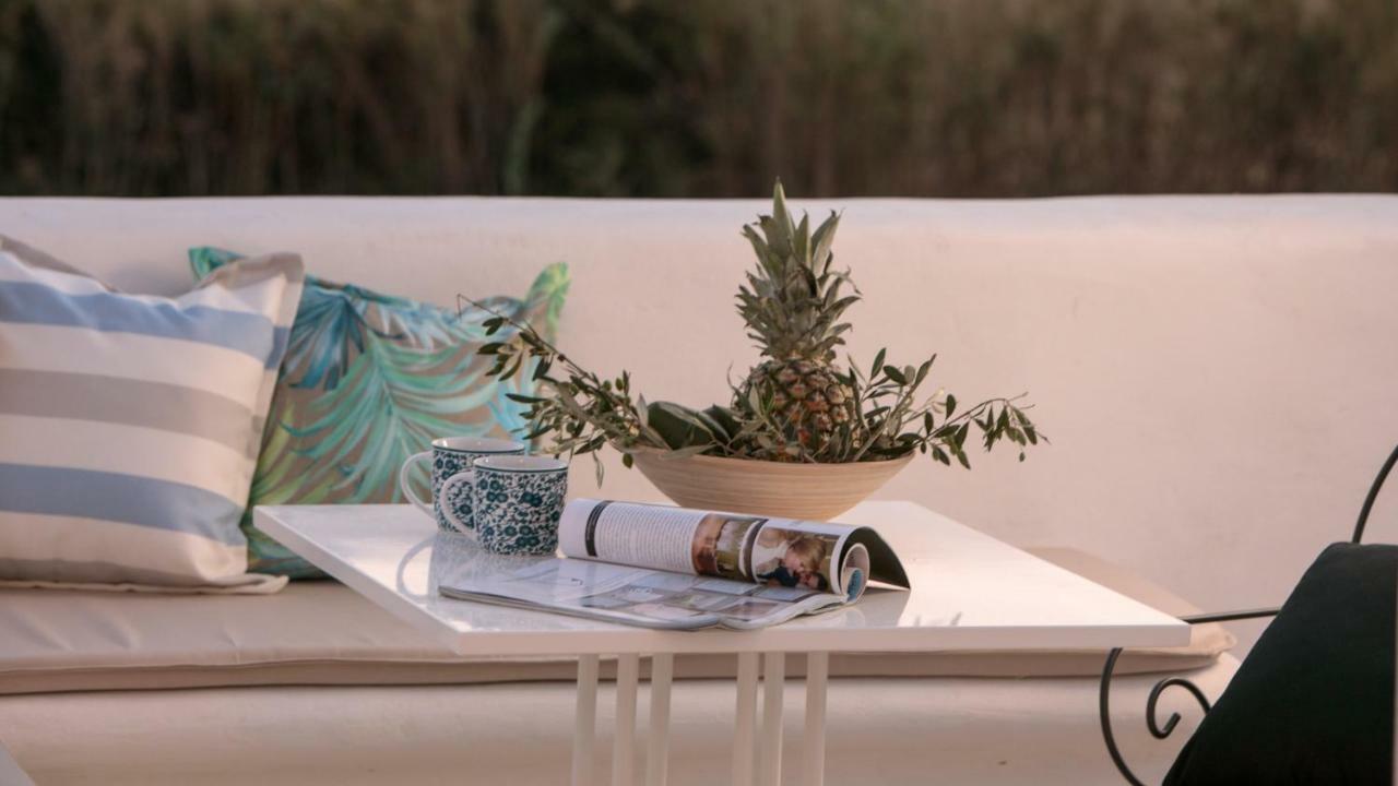 Villa Vaya Agia Anna (Naxos) Exterior foto